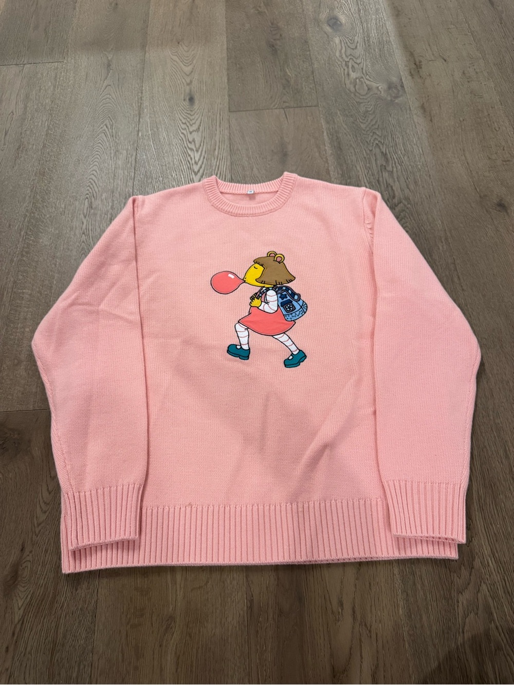 DW (Arthur) Pink Graphic Crewneck Sweater